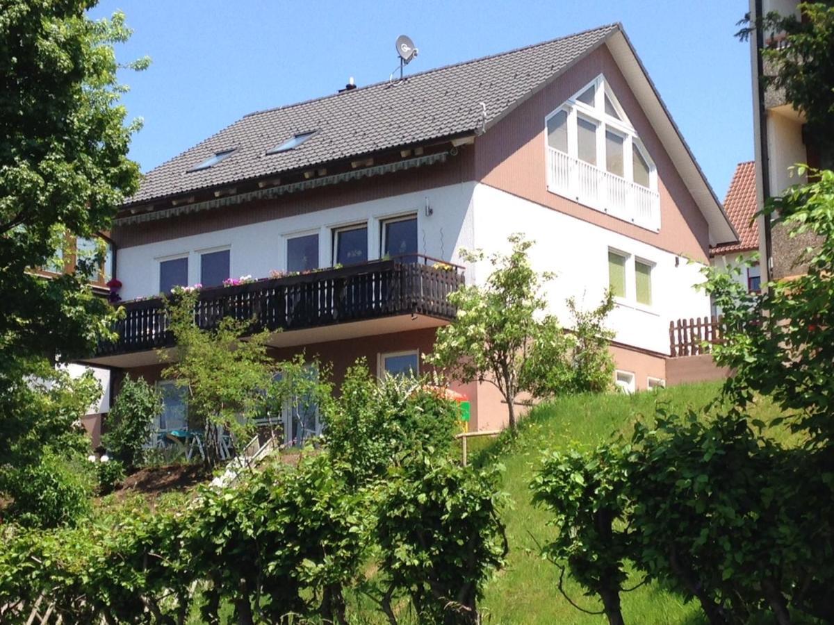 Haus Talblick Appartement Freudenstadt Buitenkant foto